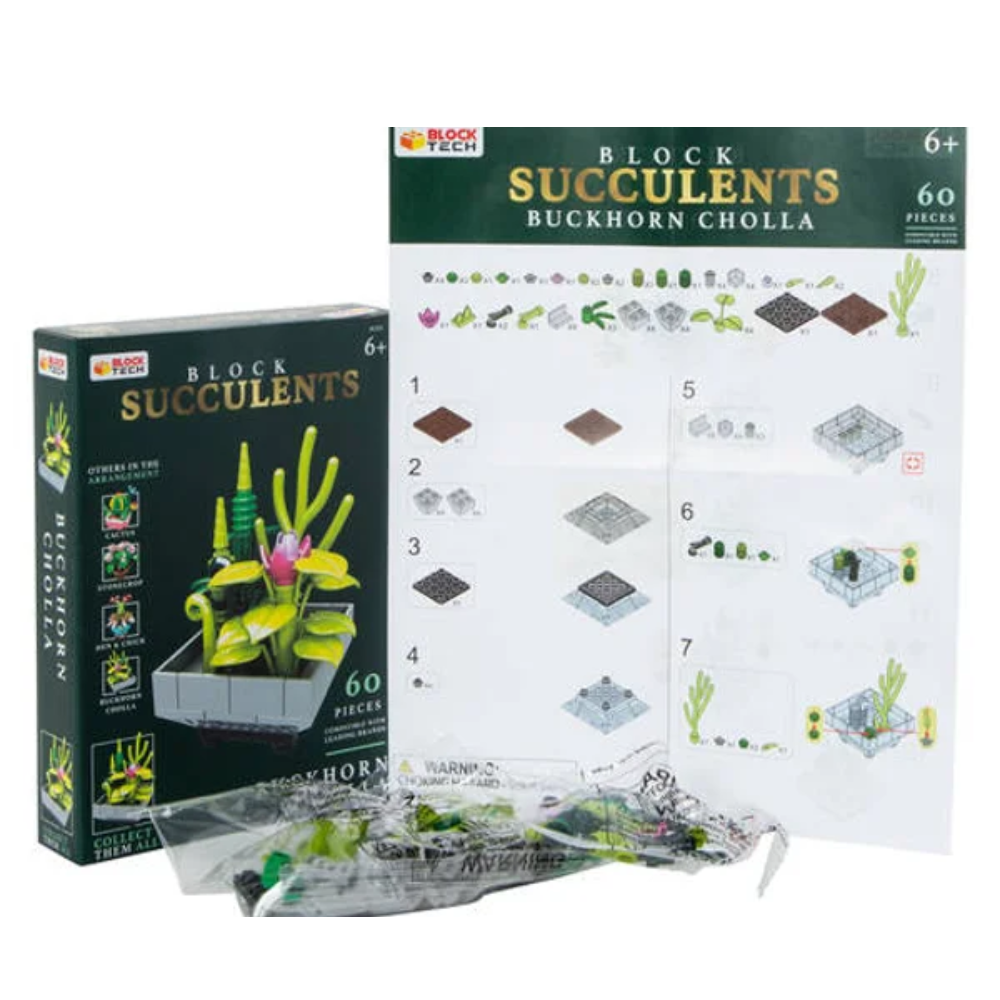 block tech succulents Block Succulents - Cactus