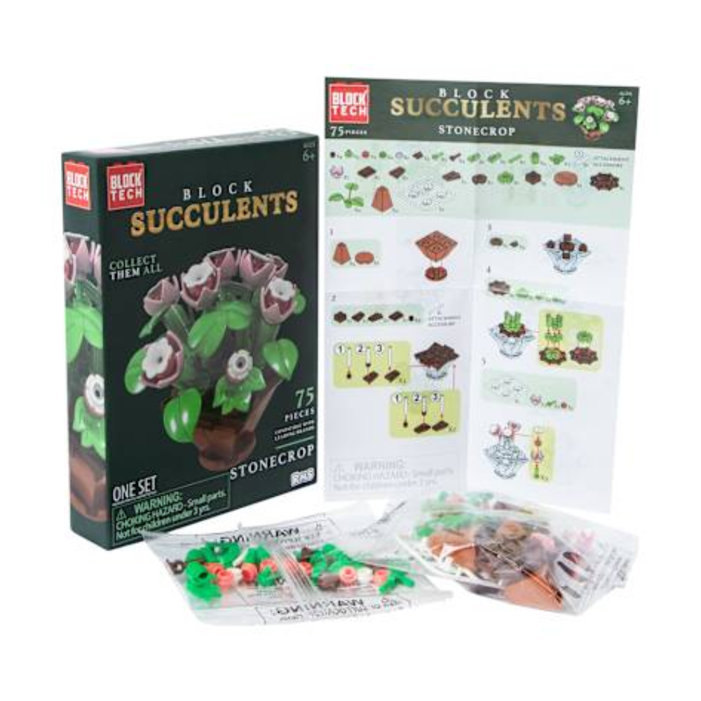 block tech succulents Block Succulents - Cactus