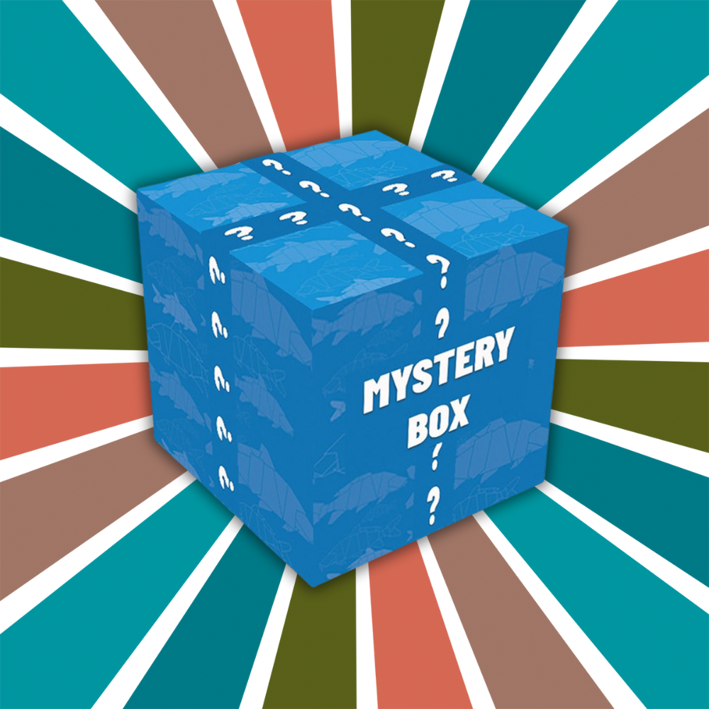 The Magic of Mystery Boxes: Unbox Joy with Toys4You!