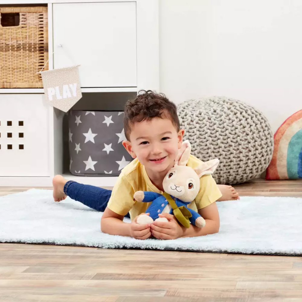 Beatrix Potter Peter Rabbit Talking Peter Soft Toy – Toys4you