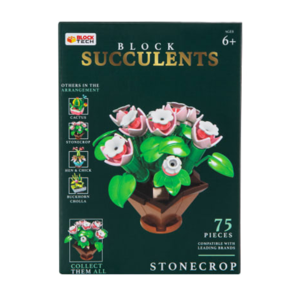 Block Succulents - Stonecrop - Block Tech Blocks in Bloom