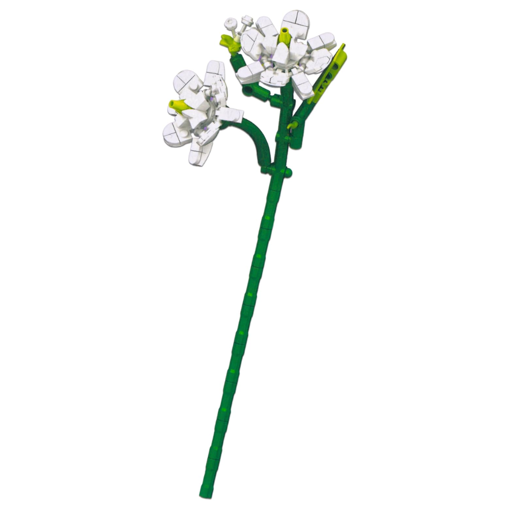 Blocks In Bloom Jasmine Build Kit