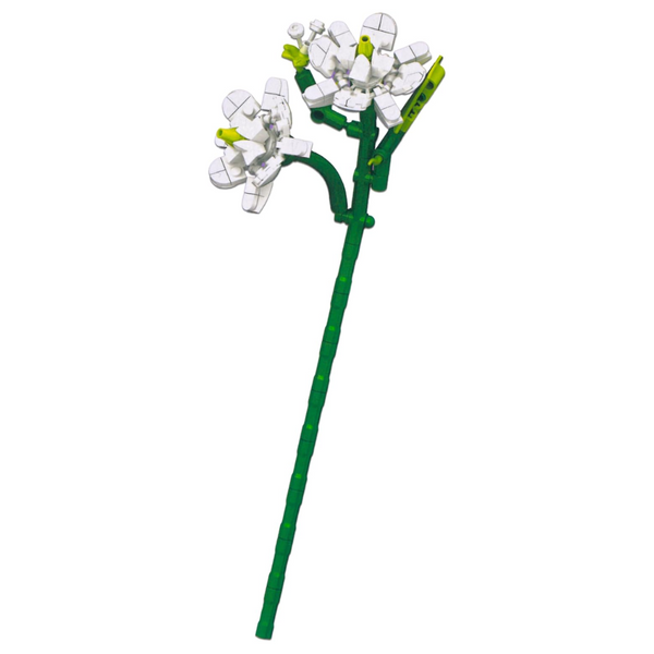 Blocks In Bloom Jasmine Build Kit