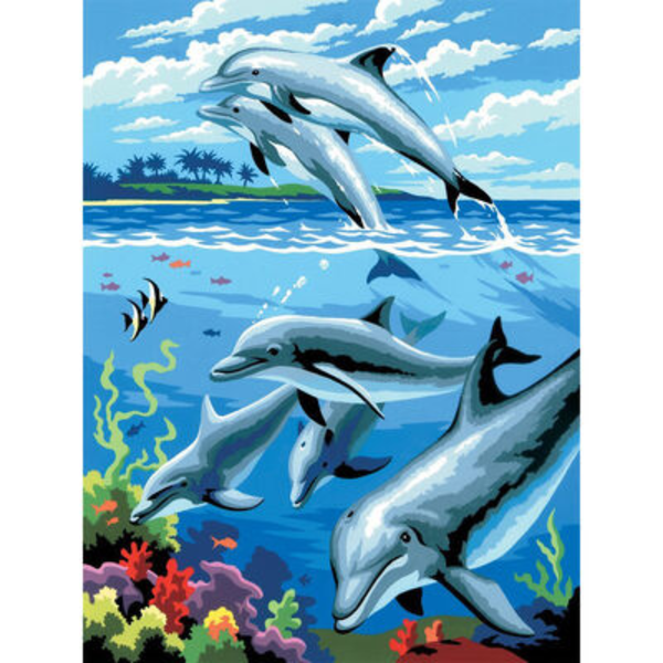 Painting By Numbers - Dolphins