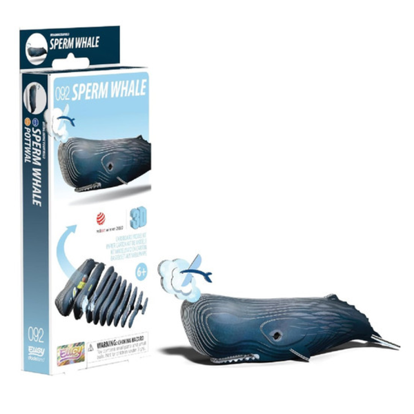 EUGY 092 Sperm Whale