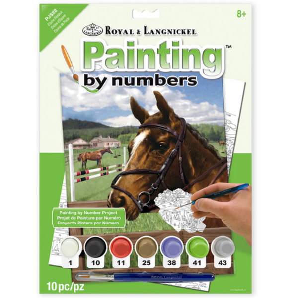 Painting By Numbers - Equine Paddock
