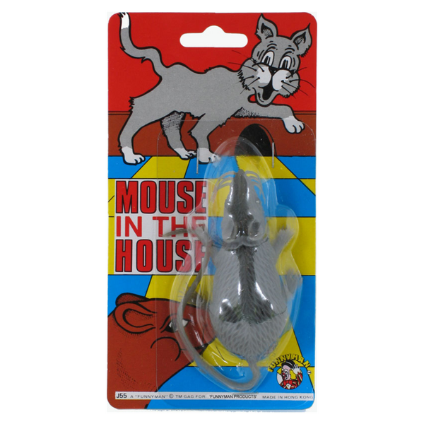 Mouse In The House