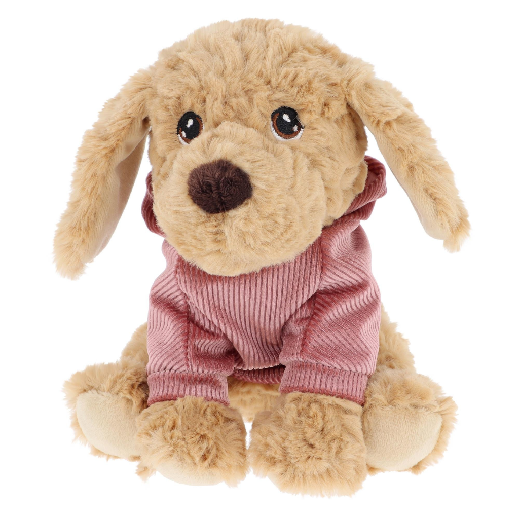 Keeleco Puppy in Hoodie 4 Asstd