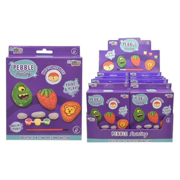 Pebble Painting Kit In Colour Box