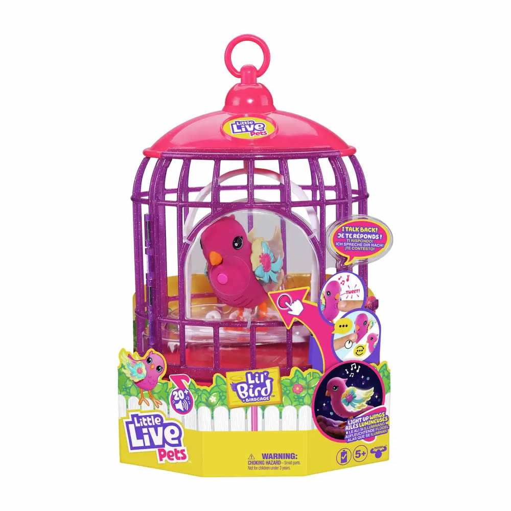 Little live bird 2025