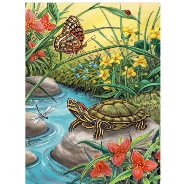 Painting By Numbers - Red Eared Slider
