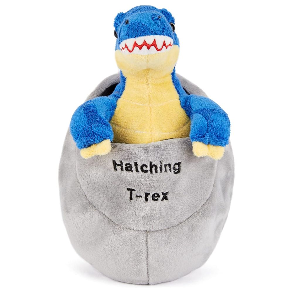 Plush Baby Dinosaur in Egg Assorted