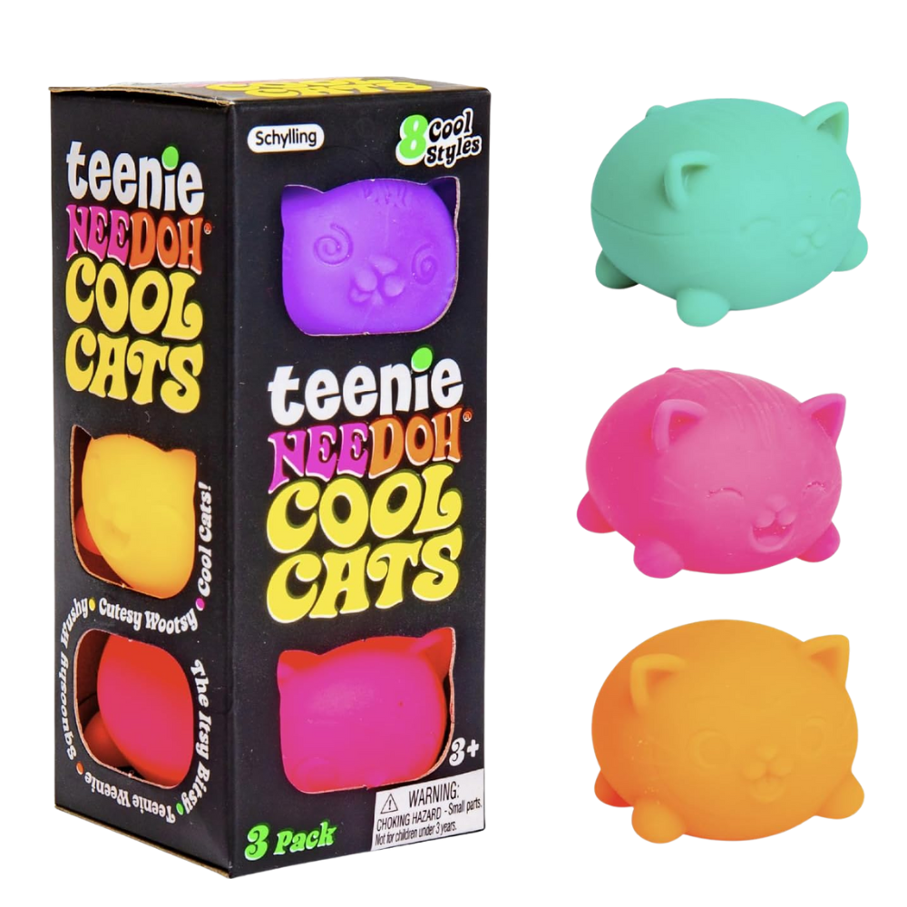 NeeDoh Schylling Cool Cats Teenie