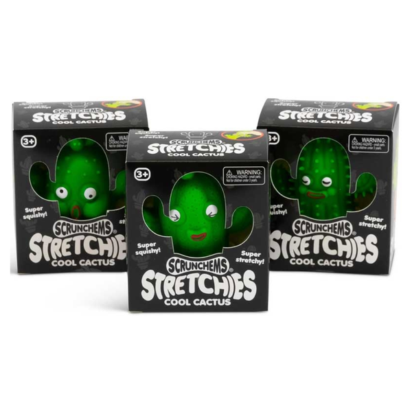 Scrunchems Stretchies Cool Cactus Assorted