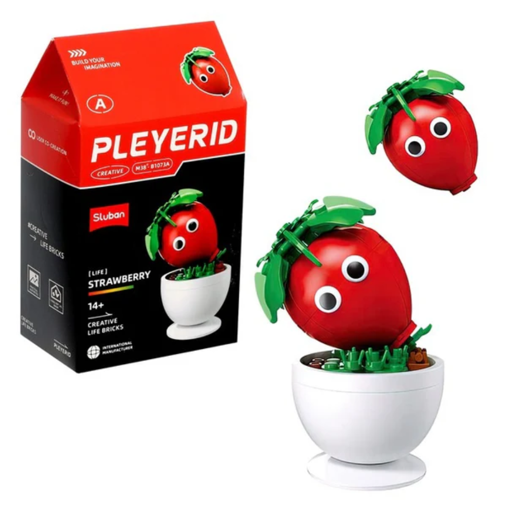 Sluban Pleyerid M38-B1073A Strawberry Set