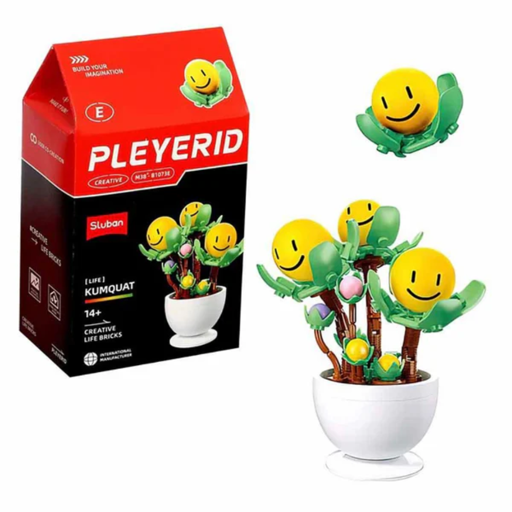 Sluban Pleyerid M38-B1073E Kumquat Set