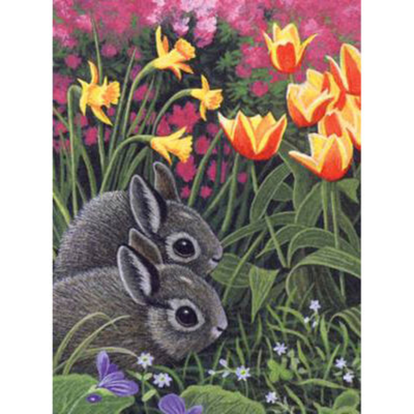 Painting By Numbers - Spring Bunnies
