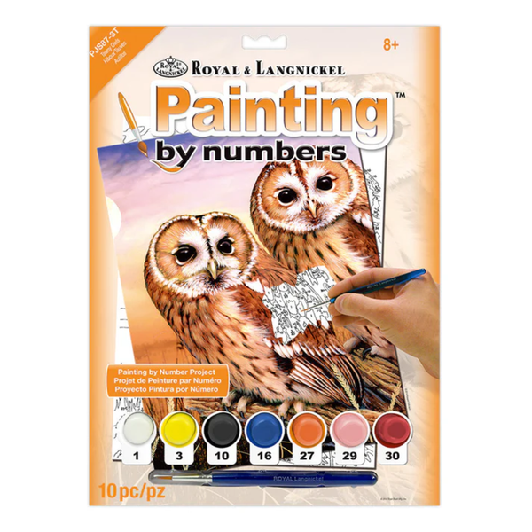 Painting By Numbers - Tawny Owls