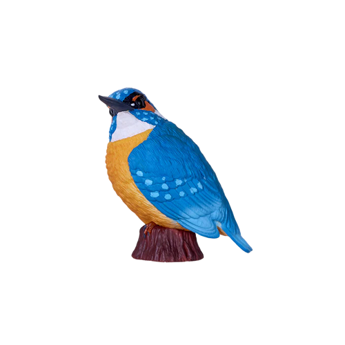 Kingfisher - Mojo Animal