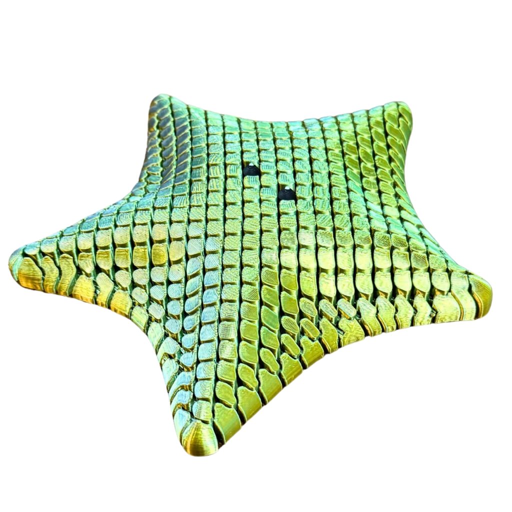 Starfish 3D Printed Starfish Fidget - Assorted Colours